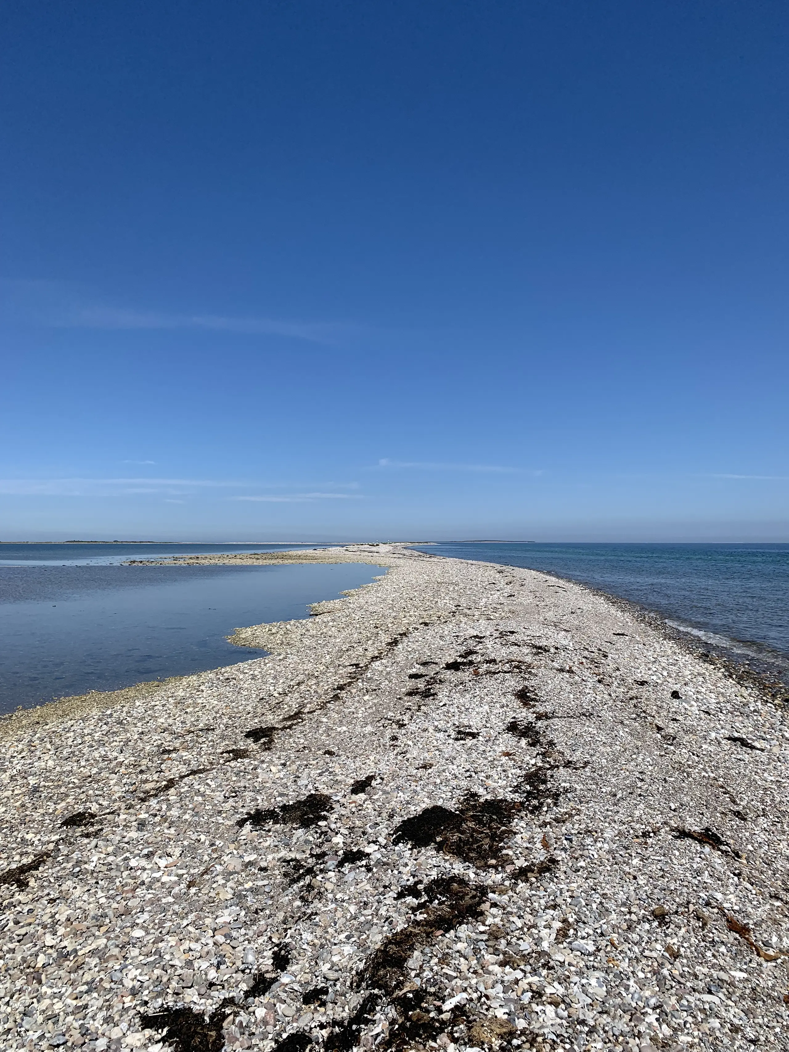 Billede af det smukke Besser Rev